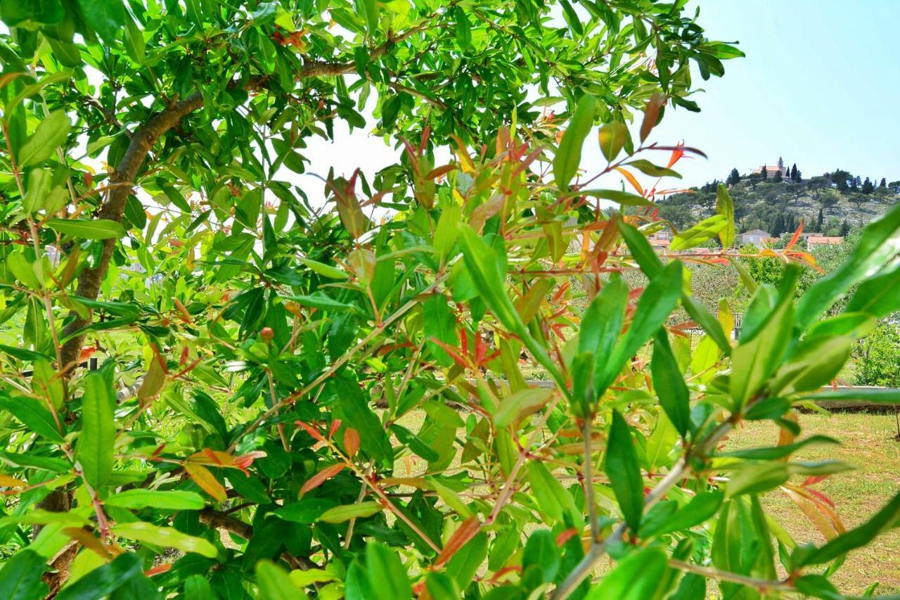 Apartment Nadoveza Tribalj 外观 照片